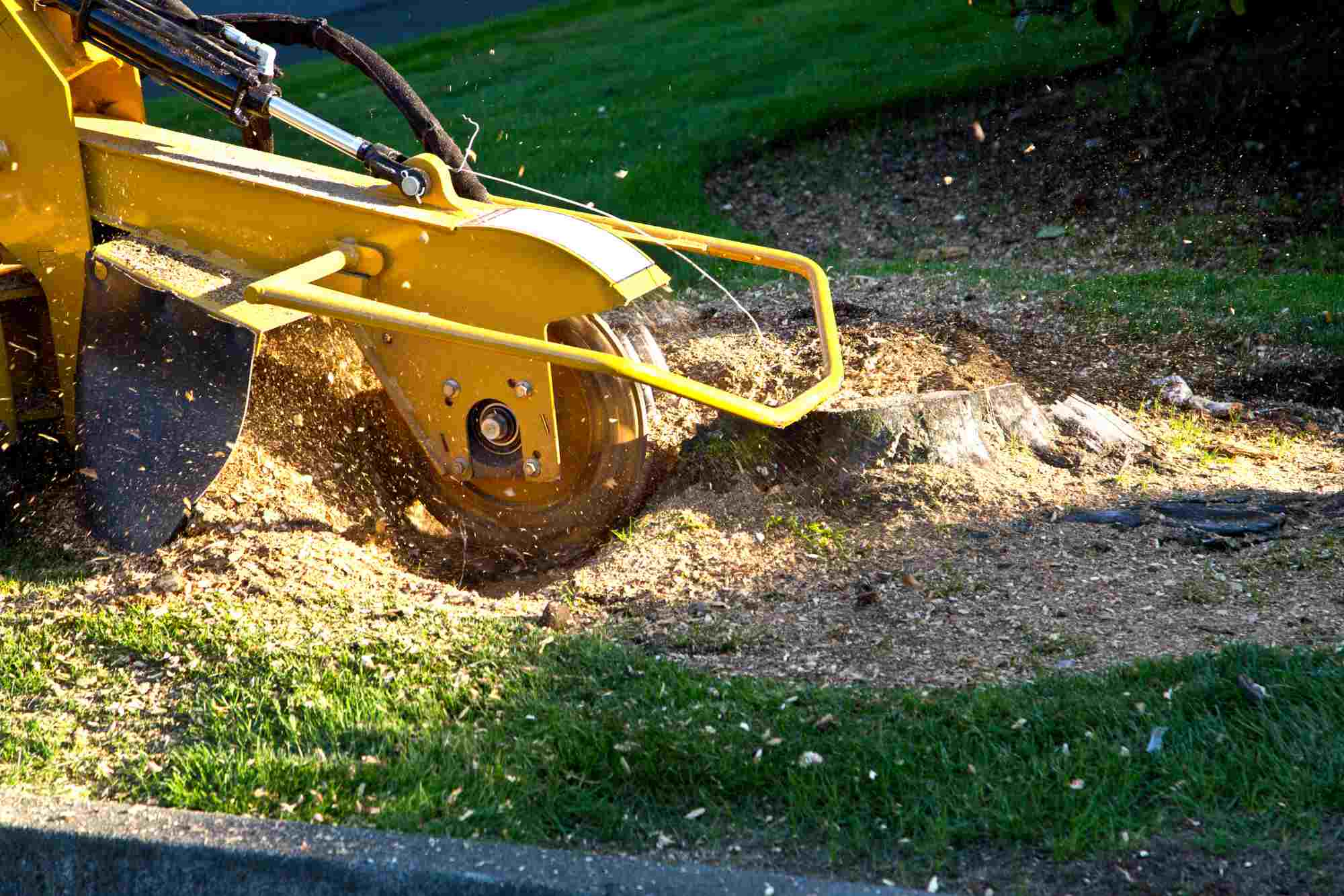 Stump grinding