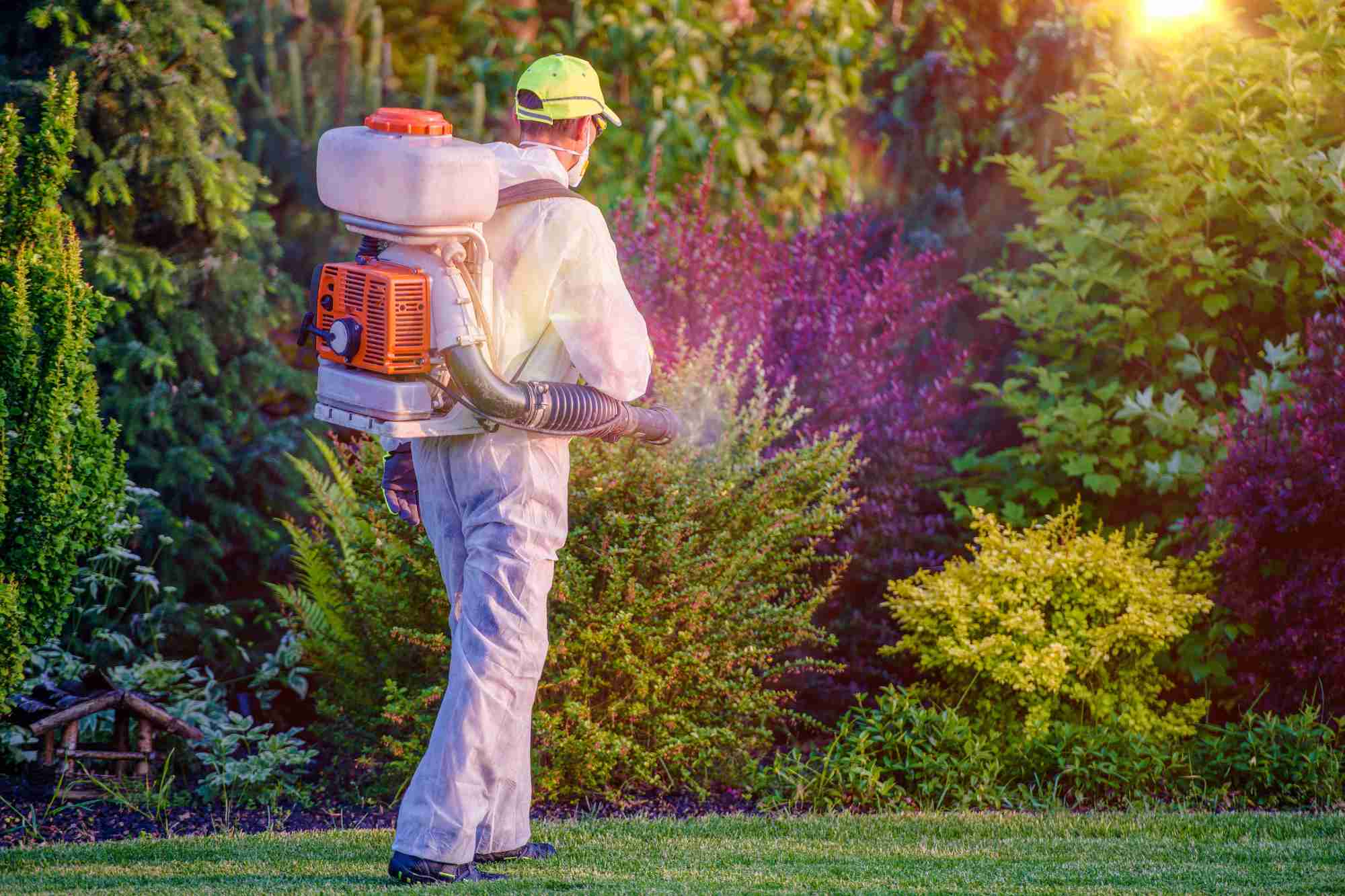 Chemical weed Control