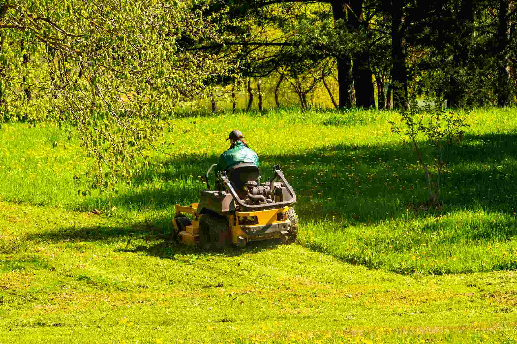 Cutting Lawn