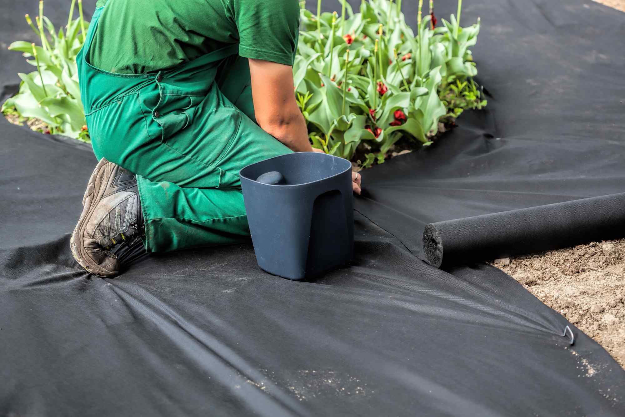 Installation of weed control Fabrics