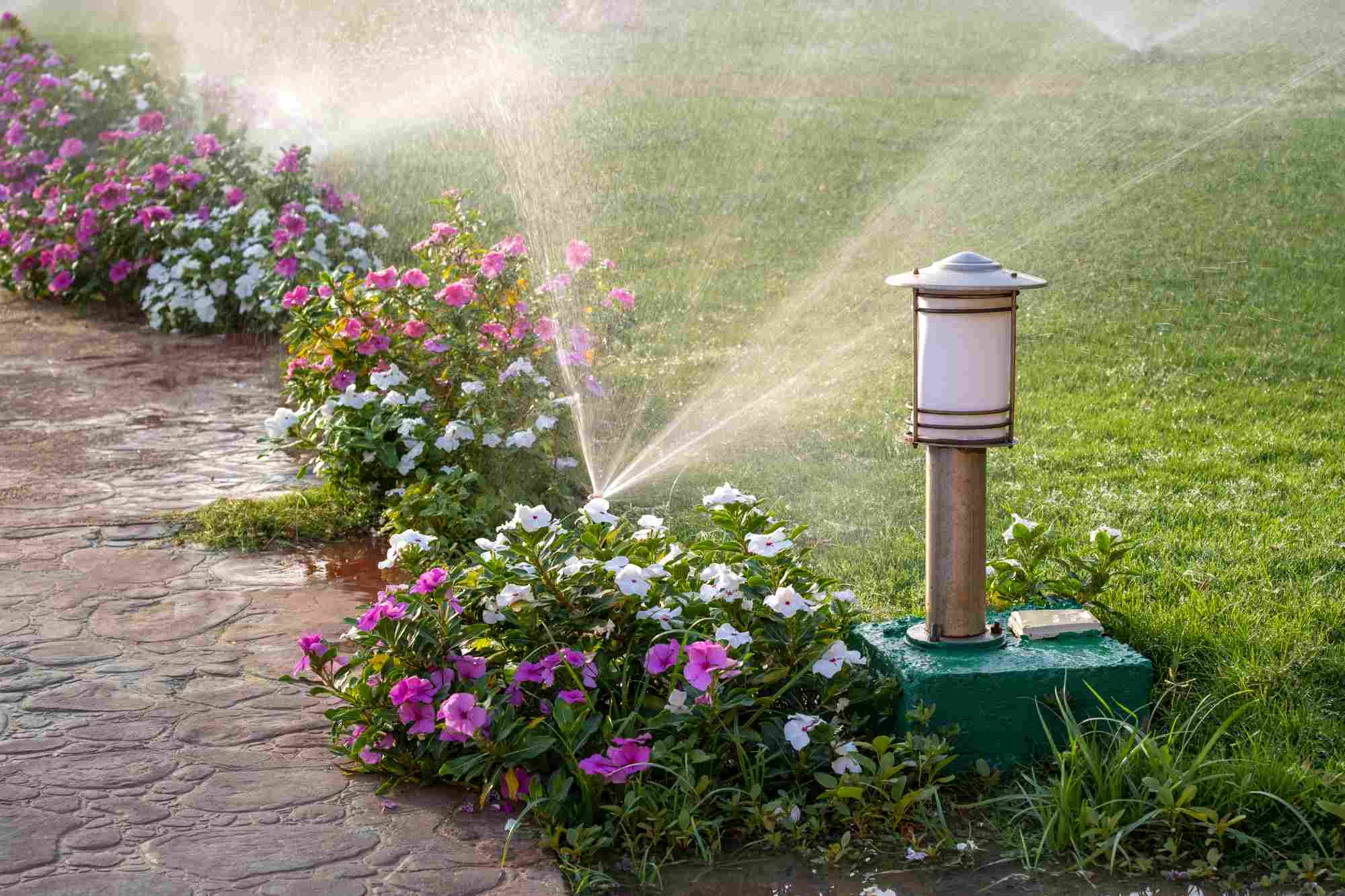 Proper Irrigation in lawn residential