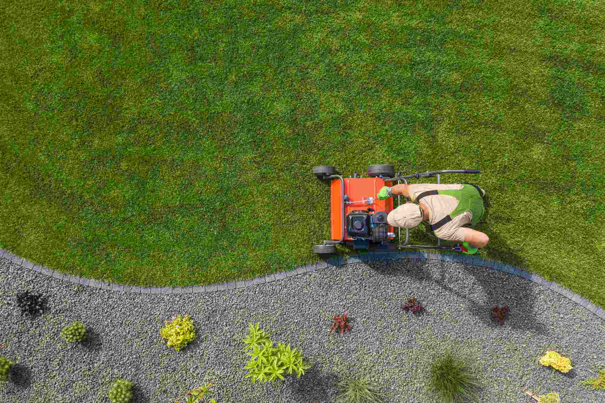 Regular Mowing and Edge Maintenance in lawn residential