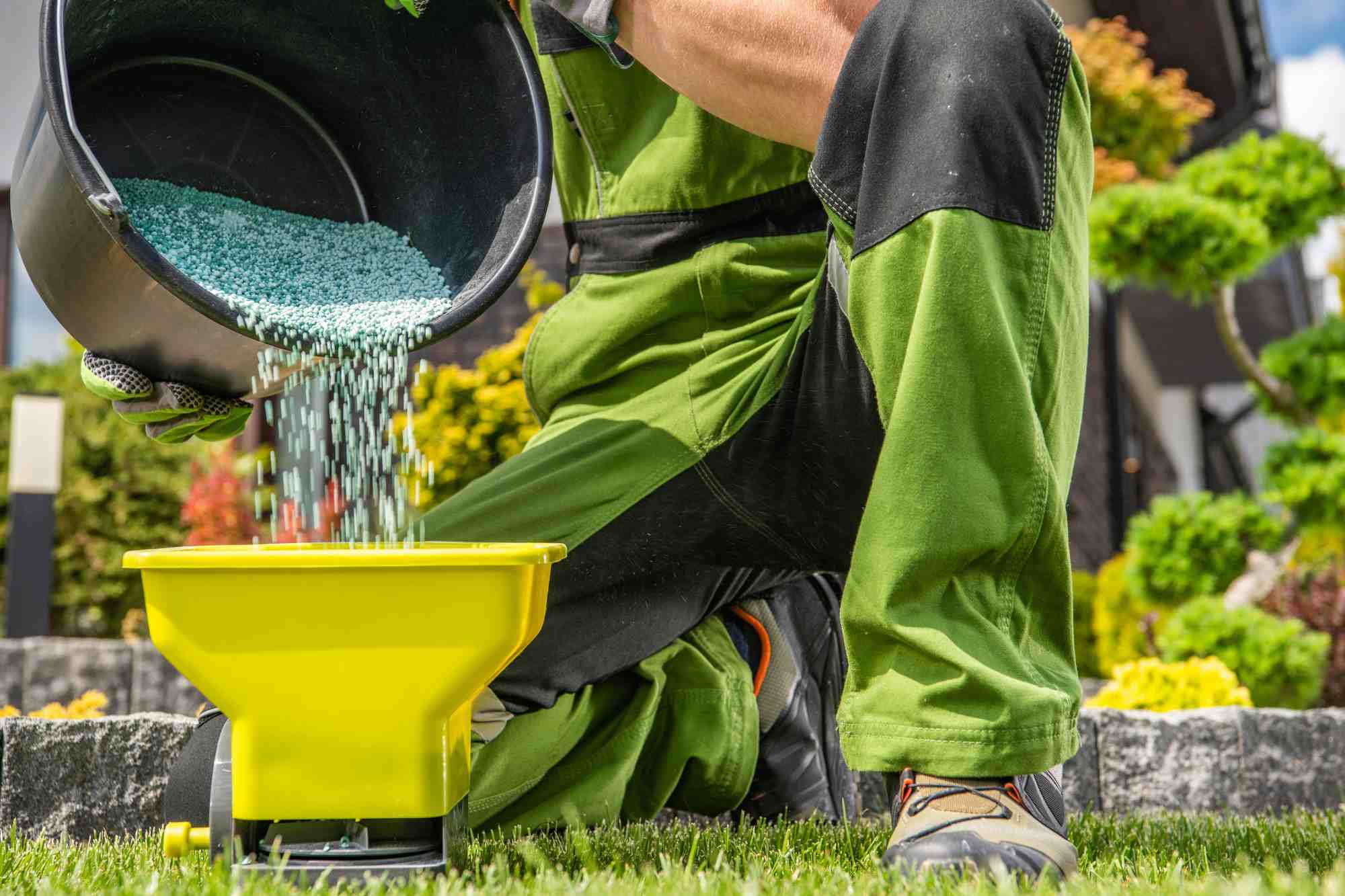 Reseeding and Fertilizing - Residential lawn maintenance