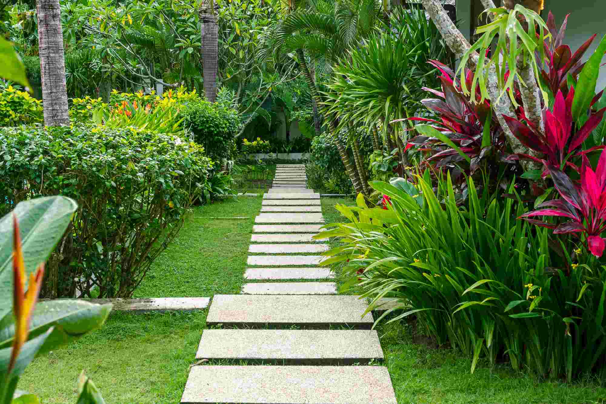 Residential lawn maintenance-grass path